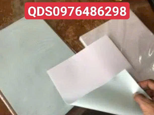 1788080701977_1556628873999089586_8495091165245530572_2bbbd8f9e2cad16d666d6680db02c5ca